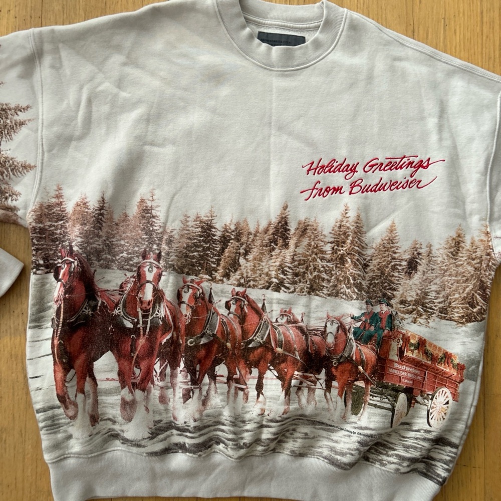 Abercrombie & Fitch Festive Horse-Drawn Sweatshirt